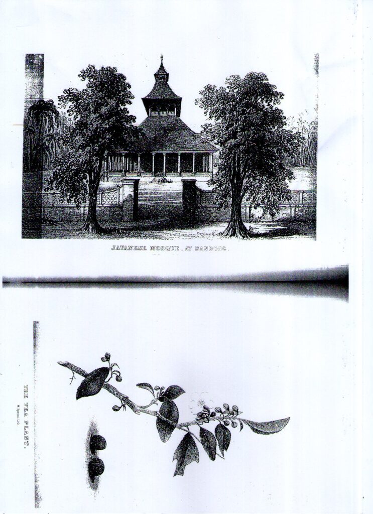 Bandung tahun 1852