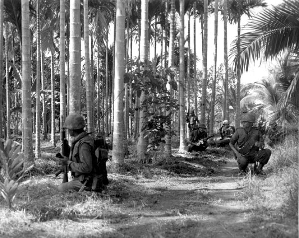 Perang Vietnam dan Keruntuhan Vietnam Selatan